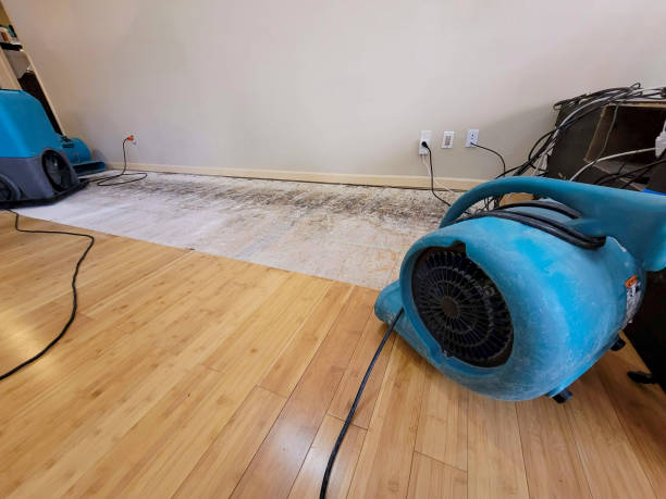 Professional Structural Drying technician working in Chatsworth, IL